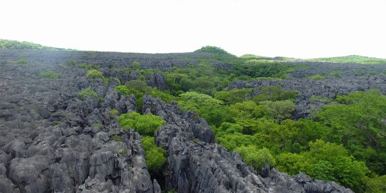 Tsingy de Bemaraha - as recommended by this Madagascar travel agent