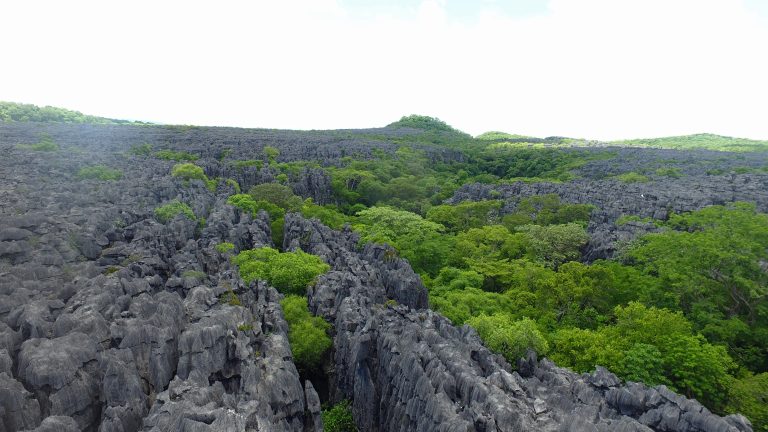 Tsingy de Bemaraha - as recommended by this Madagascar travel agent