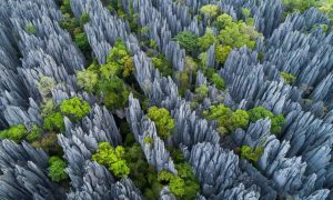 Tsingy de Bemaraha national park in Madagascar