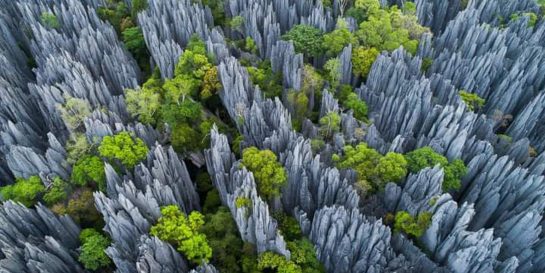 Tsingy de Bemaraha national park in Madagascar
