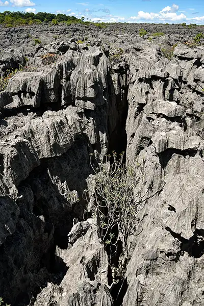 A dramatic view from within the tsingy pointed limestone rocks - nothing but rocks until the horizon