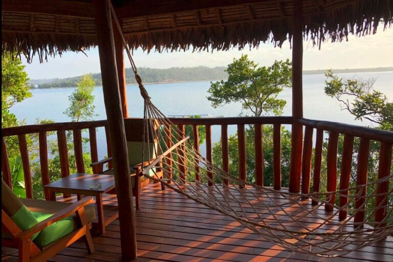 A peaceful hammock spot