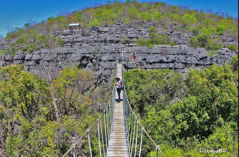 A person stands on a walkway high above the tsingy rocks