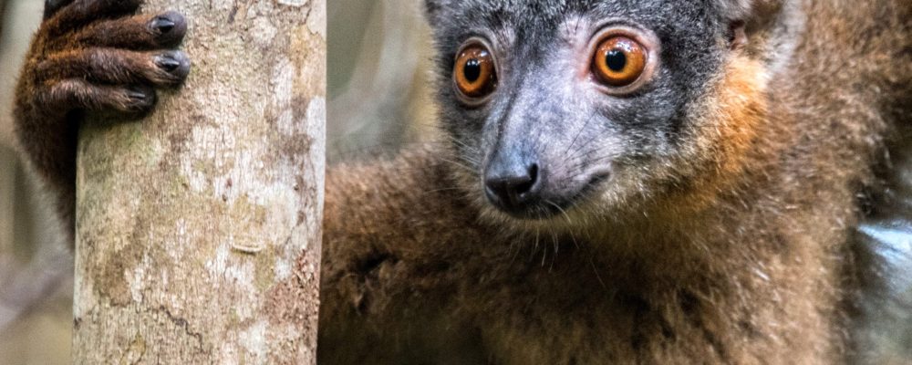 20160810-DSC_4828 - banner