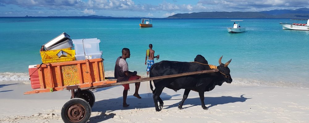 35020386771_f61841765b_o - banner