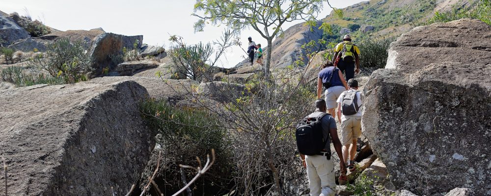 35716036136_697a59f14f_o - banner