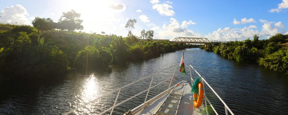 36120810622_1a5c0a8b46_o - banner