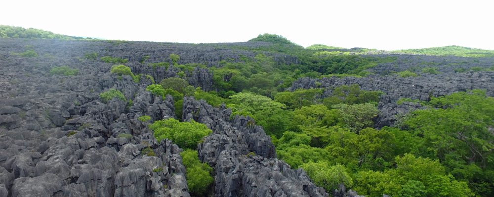Tsingy de Bemaraha - as recommended by this Madagascar travel agent